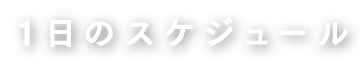 1日のスケジュール