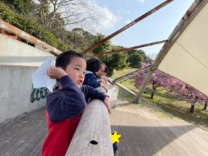 にじ組（年長児）　大型バス体験🚌🌸