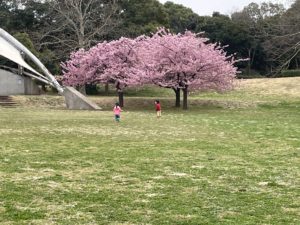 どんぐり組（1、2歳児クラス）　親子バス体験🌸