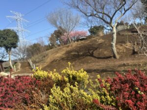 いちはらBASE🌱風の丘