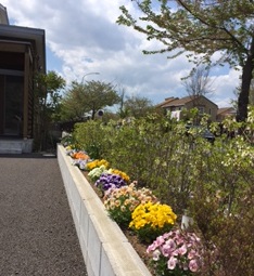 花壇のお花も楽しさも☆満開