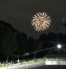 もりのみの夏・2017