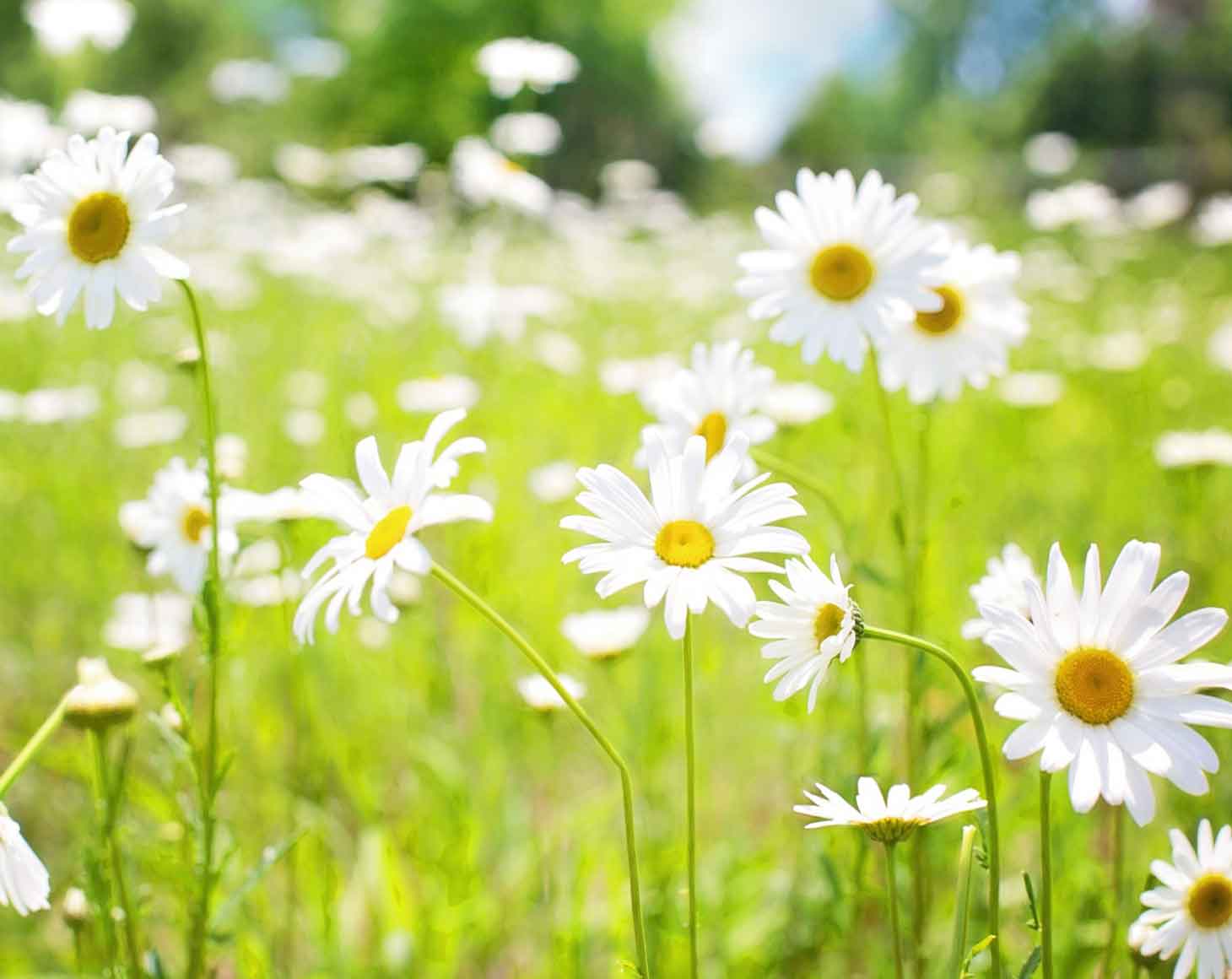 花の季節に　～先生たちも勉強中～　