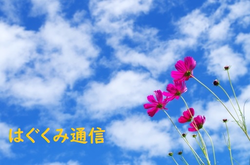 はぐくみ通信　31年春号　