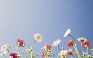 オンライン等による支援のお知らせ