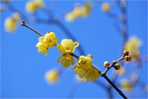 『まん延防止等重点措置』適用に伴うお知らせ