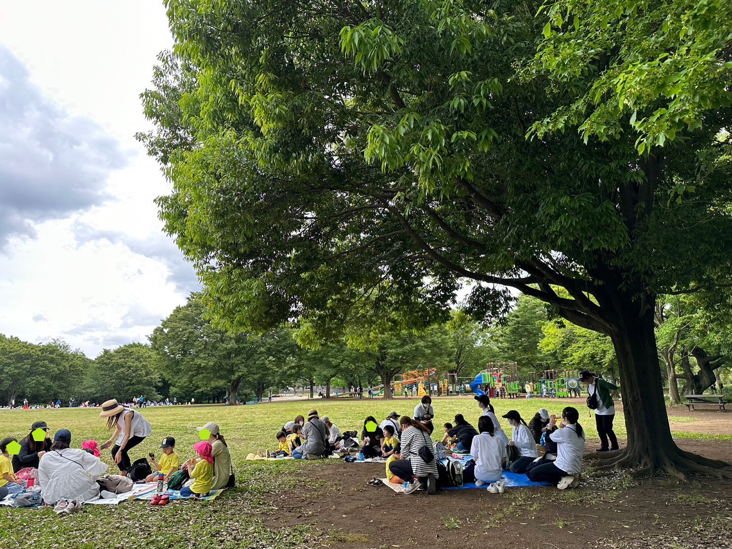 親子遠足🍃青葉の森公園