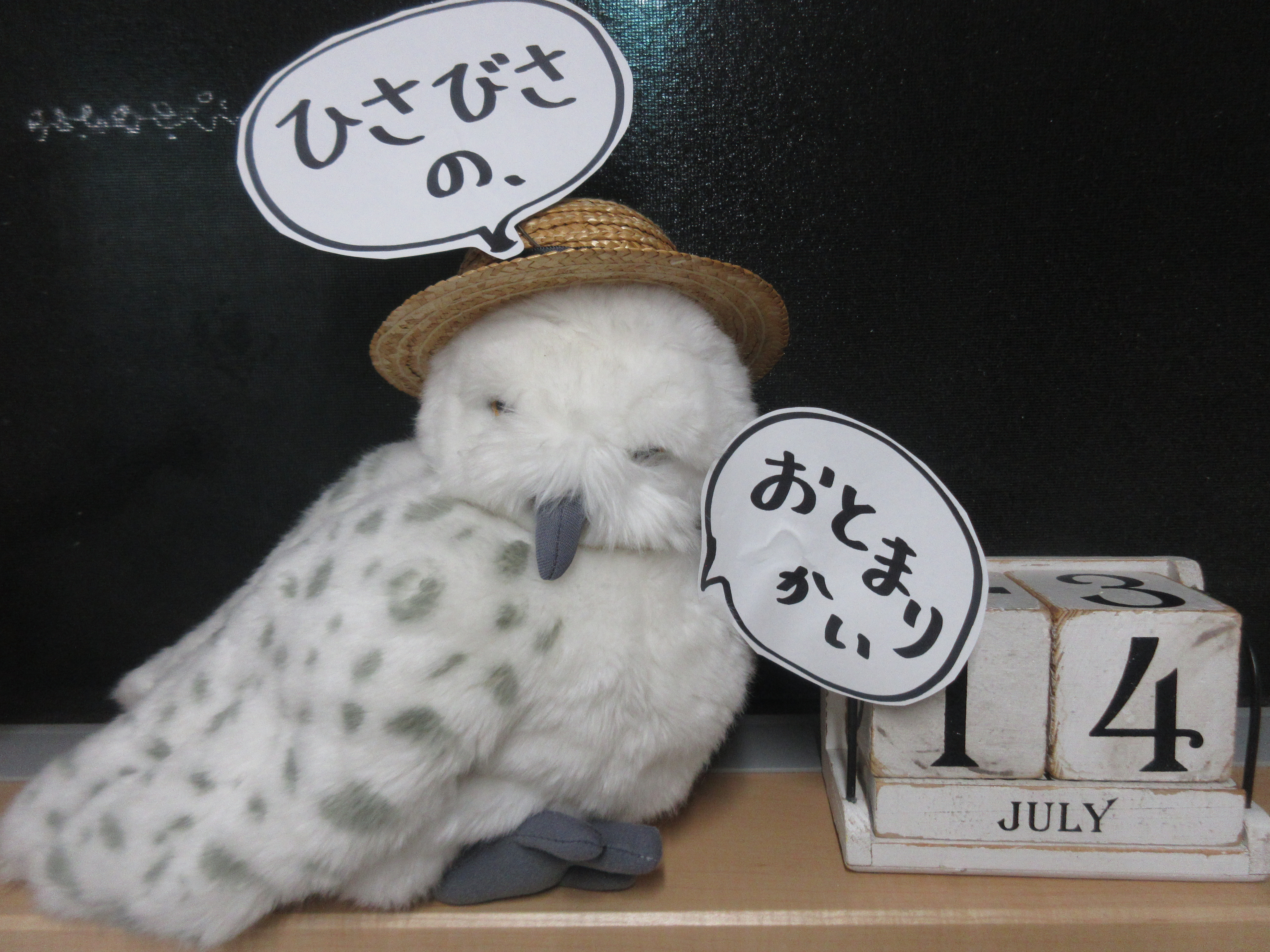 もりのみのおとまり