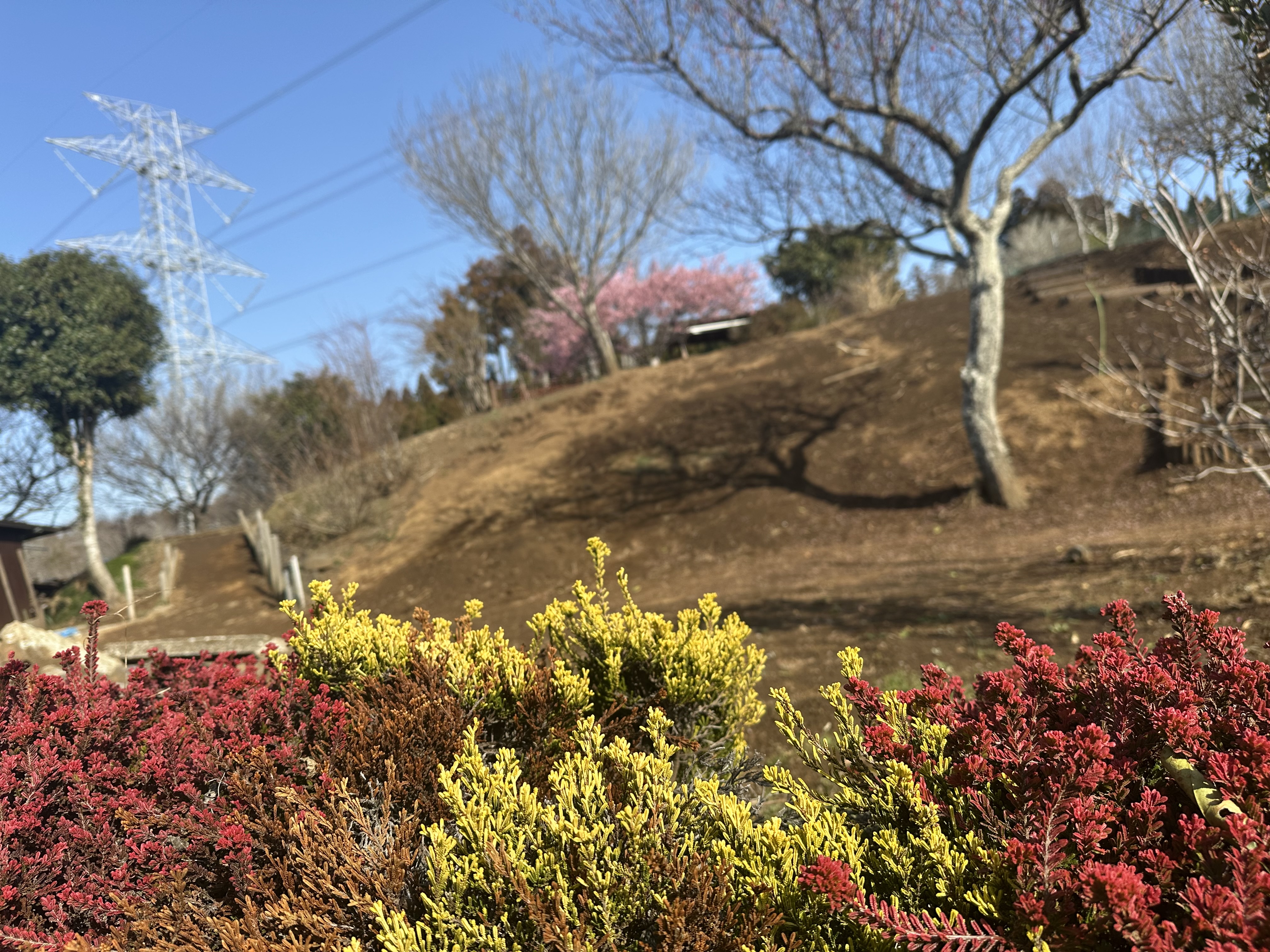 いちはらBASE🌱風の丘